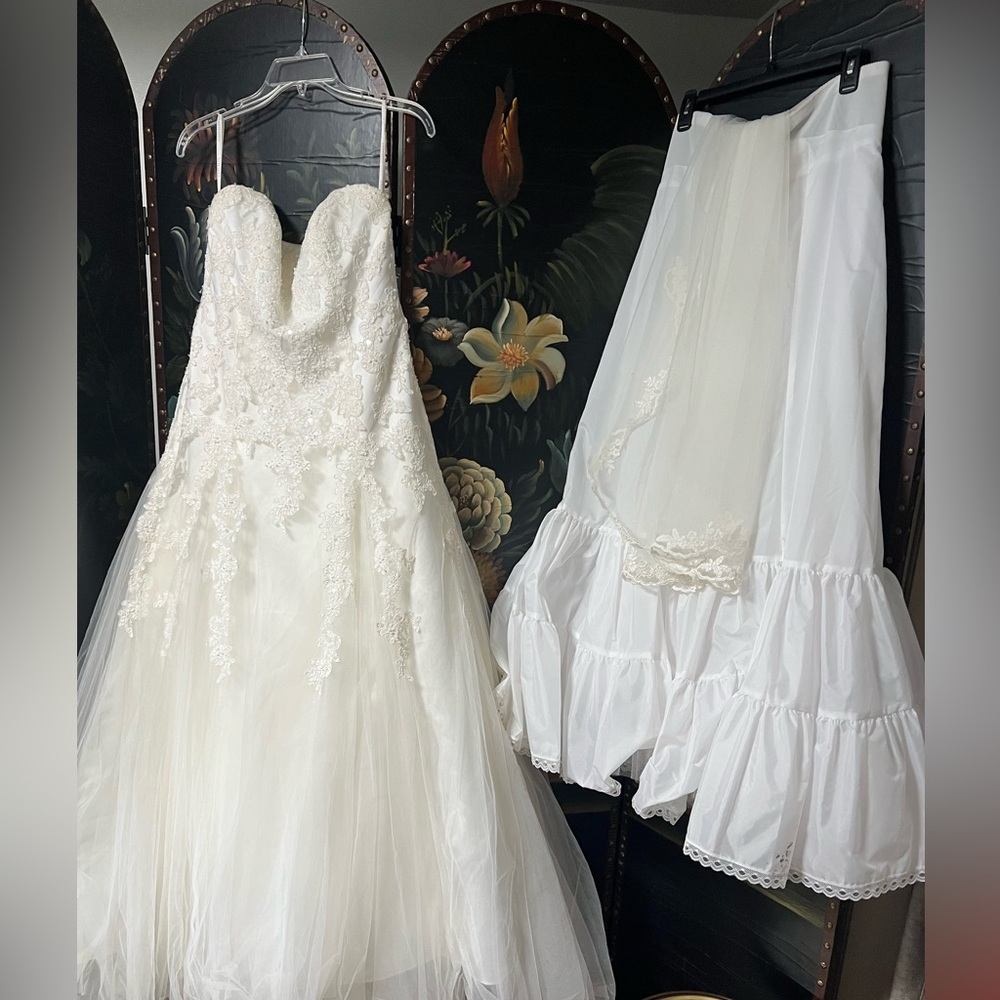 David's Bridal Ivory Lace Wedding Dress with Petticoat and Veil